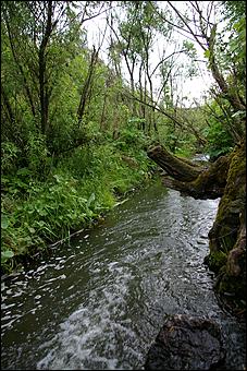12-14 июня, Горный Алтай   День России в Горном Алтае