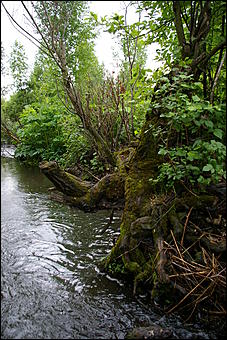 12-14 июня, Горный Алтай   День России в Горном Алтае