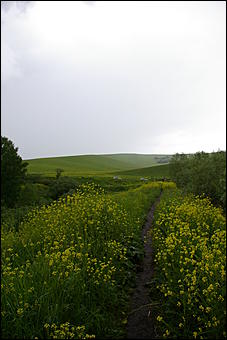 12-14 июня, Горный Алтай   День России в Горном Алтае
