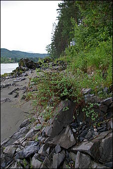 12-14 июня, Горный Алтай   День России в Горном Алтае