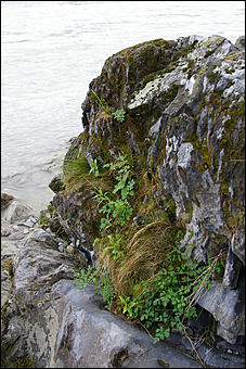 12-14 июня, Горный Алтай   День России в Горном Алтае