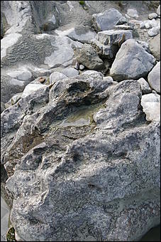 12-14 июня, Горный Алтай   День России в Горном Алтае