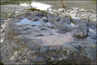 12-14 июня, Горный Алтай   День России в Горном Алтае