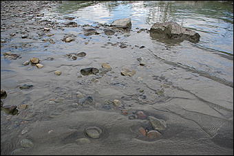 12-14 июня, Горный Алтай   День России в Горном Алтае