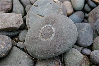 12-14 июня, Горный Алтай   День России в Горном Алтае