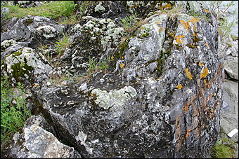 12-14 июня, Горный Алтай   День России в Горном Алтае