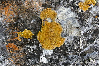 12-14 июня, Горный Алтай   День России в Горном Алтае