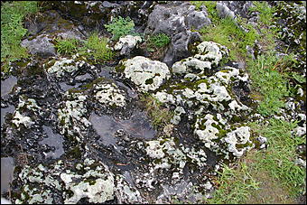 12-14 июня, Горный Алтай   День России в Горном Алтае