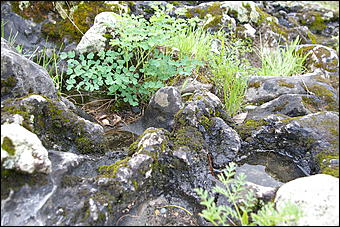 12-14 июня, Горный Алтай   День России в Горном Алтае