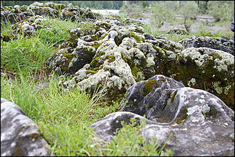 12-14 июня, Горный Алтай   День России в Горном Алтае