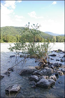 12-14 июня, Горный Алтай   День России в Горном Алтае