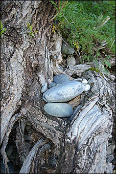 12-14 июня, Горный Алтай   День России в Горном Алтае