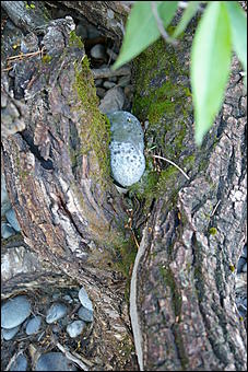 12-14 июня, Горный Алтай   День России в Горном Алтае