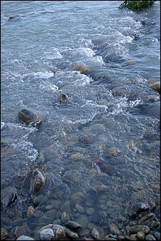 12-14 июня, Горный Алтай   День России в Горном Алтае