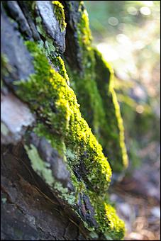 12-14 июня, Горный Алтай   День России в Горном Алтае