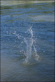 12-14 июня, Горный Алтай   День России в Горном Алтае