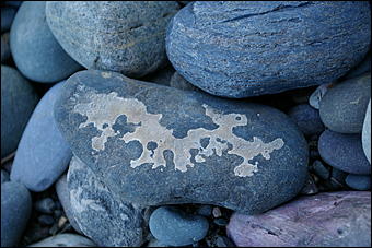 12-14 июня, Горный Алтай   День России в Горном Алтае