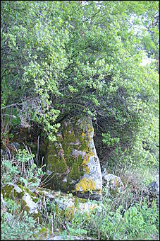 12-14 июня, Горный Алтай   День России в Горном Алтае