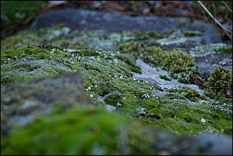 12-14 июня, Горный Алтай   День России в Горном Алтае