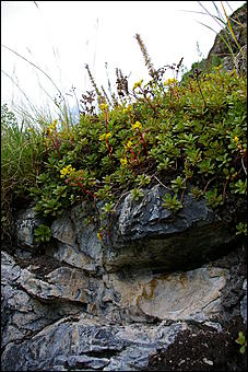 12-14 июня, Горный Алтай   День России в Горном Алтае