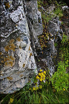 12-14 июня, Горный Алтай   День России в Горном Алтае