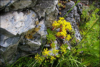 12-14 июня, Горный Алтай   День России в Горном Алтае