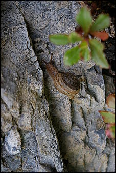 12-14 июня, Горный Алтай   День России в Горном Алтае