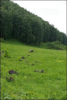 12-14 июня, Горный Алтай   День России в Горном Алтае