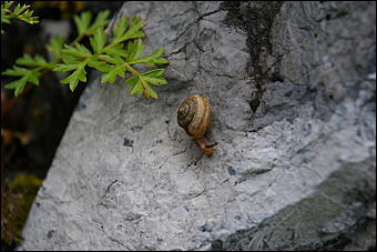 12-14 июня, Горный Алтай   День России в Горном Алтае