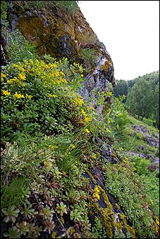 12-14 июня, Горный Алтай   День России в Горном Алтае