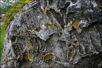 12-14 июня, Горный Алтай   День России в Горном Алтае