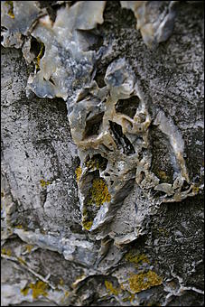 12-14 июня, Горный Алтай   День России в Горном Алтае