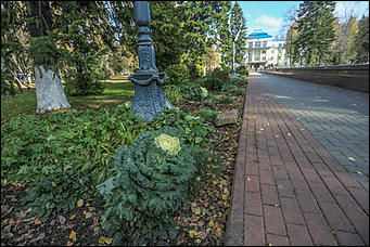 18 октября 2017 г., Горно-Алтайск. Екатерина Смолихина   Рядом, но другой: фотозаметки о столице Республики Алтай