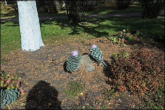 18 октября 2017 г., Горно-Алтайск. Екатерина Смолихина   Рядом, но другой: фотозаметки о столице Республики Алтай