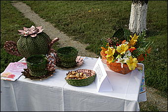 22 августа 2009 г., Барнаул   День рождения Барнаула - выставка цветов и "Город мастеров"