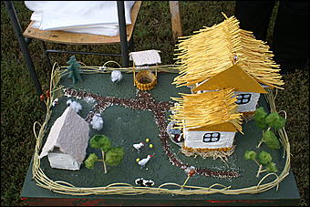 22 августа 2009 г., Барнаул   День рождения Барнаула - выставка цветов и "Город мастеров"