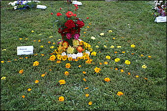 22 августа 2009 г., Барнаул   День рождения Барнаула - выставка цветов и "Город мастеров"