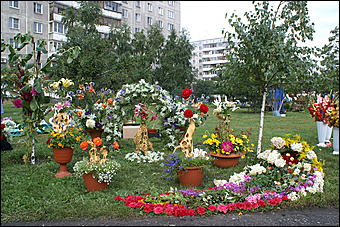 22 августа 2009 г., Барнаул   День рождения Барнаула - выставка цветов и "Город мастеров"