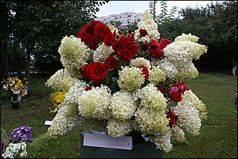 22 августа 2009 г., Барнаул   День рождения Барнаула - выставка цветов и "Город мастеров"