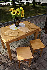 22 августа 2009 г., Барнаул   День рождения Барнаула - выставка цветов и "Город мастеров"