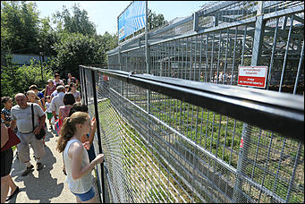 6 августа 2017 г., Барнаул. Екатерина Смолихина Саксофон для волка и скрипка для льва: барнаульский зоопарк отметил седьмой день рождения