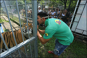 6 августа 2017 г., Барнаул. Екатерина Смолихина Саксофон для волка и скрипка для льва: барнаульский зоопарк отметил седьмой день рождения