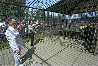 6 августа 2017 г., Барнаул. Екатерина Смолихина Саксофон для волка и скрипка для льва: барнаульский зоопарк отметил седьмой день рождения