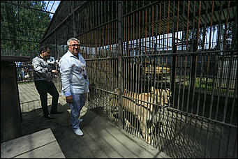 6 августа 2017 г., Барнаул. Екатерина Смолихина Саксофон для волка и скрипка для льва: барнаульский зоопарк отметил седьмой день рождения