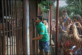 6 августа 2017 г., Барнаул. Екатерина Смолихина Саксофон для волка и скрипка для льва: барнаульский зоопарк отметил седьмой день рождения