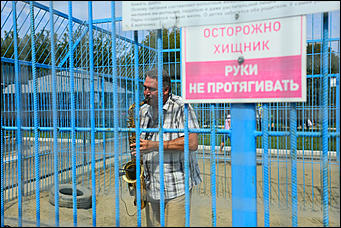 6 августа 2017 г., Барнаул. Екатерина Смолихина Саксофон для волка и скрипка для льва: барнаульский зоопарк отметил седьмой день рождения