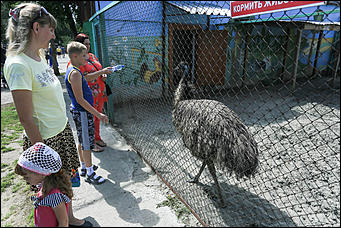 6 августа 2017 г., Барнаул. Екатерина Смолихина Саксофон для волка и скрипка для льва: барнаульский зоопарк отметил седьмой день рождения
