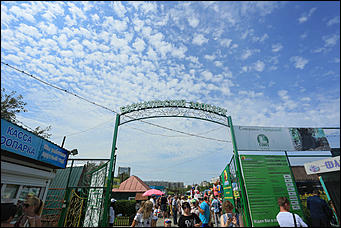 6 августа 2017 г., Барнаул. Екатерина Смолихина Саксофон для волка и скрипка для льва: барнаульский зоопарк отметил седьмой день рождения