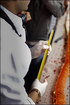    Дни алтайского сыра