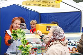    Дни алтайского сыра